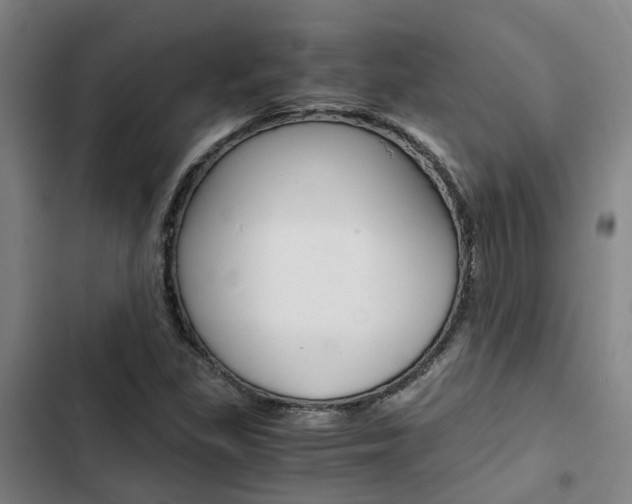 X0000103331309200809051013
