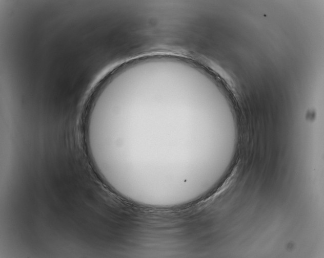 X0000103331310200809051013