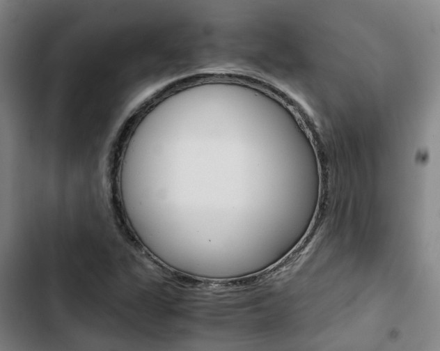 X0000103331311200809051013
