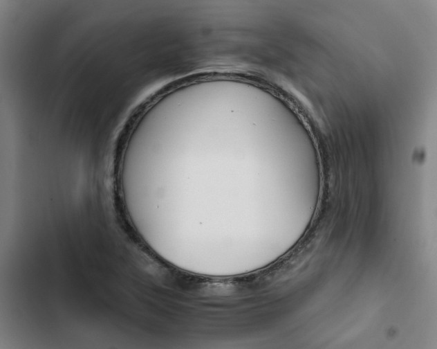 X0000103331315200809051013