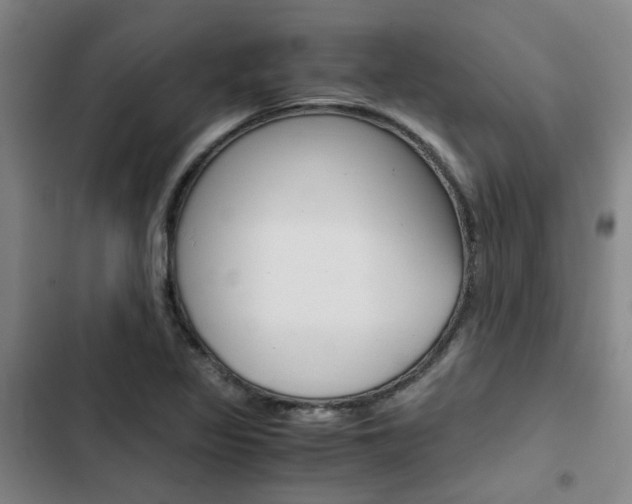 X0000103331317200809051013