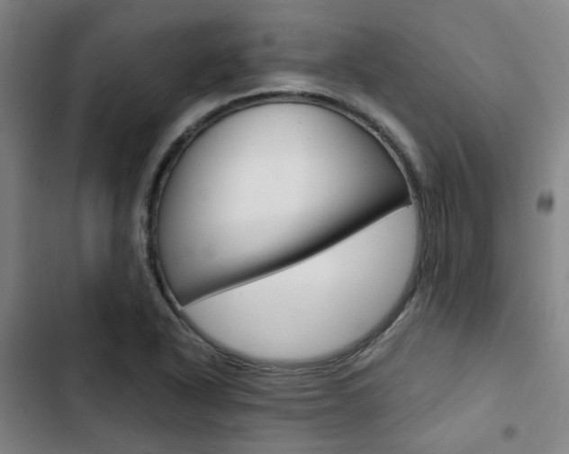 X0000103331318200809051013