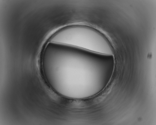 X0000103331319200809051013