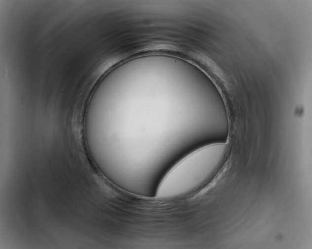 X0000103331321200809051013