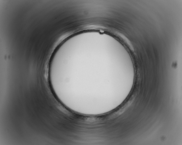X0000103331322200809051013