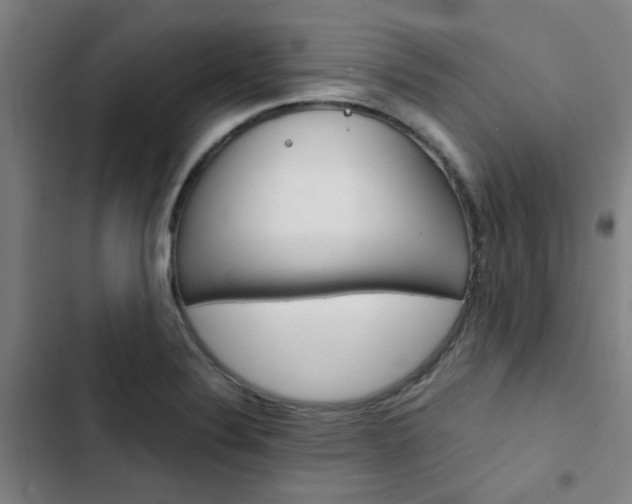 X0000103331324200809051013