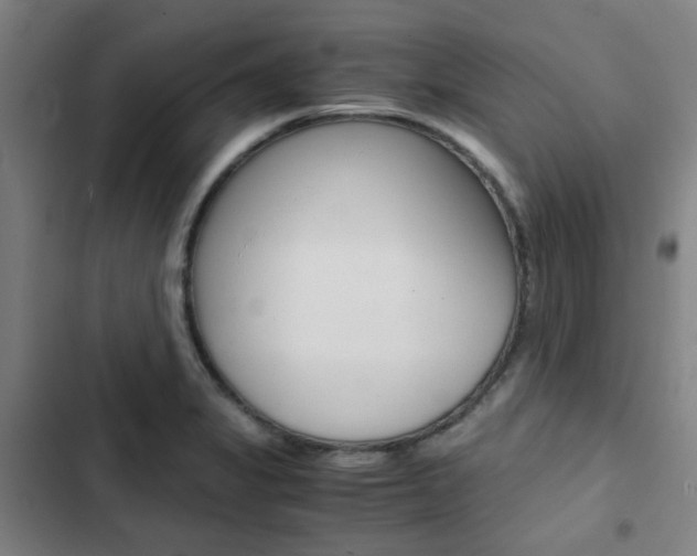 X0000103331325200809051013