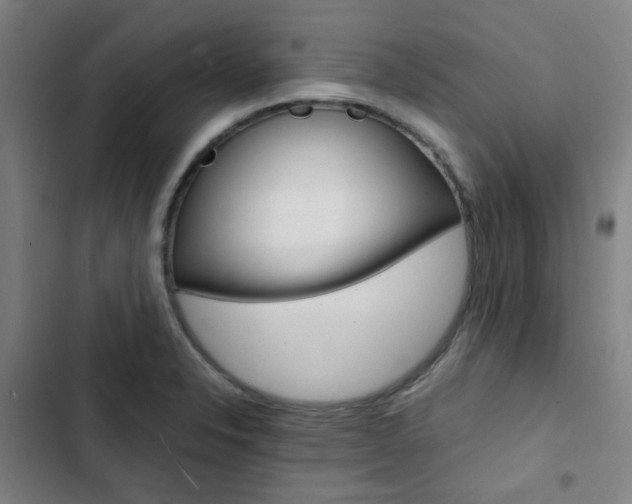 X0000103331326200809051013