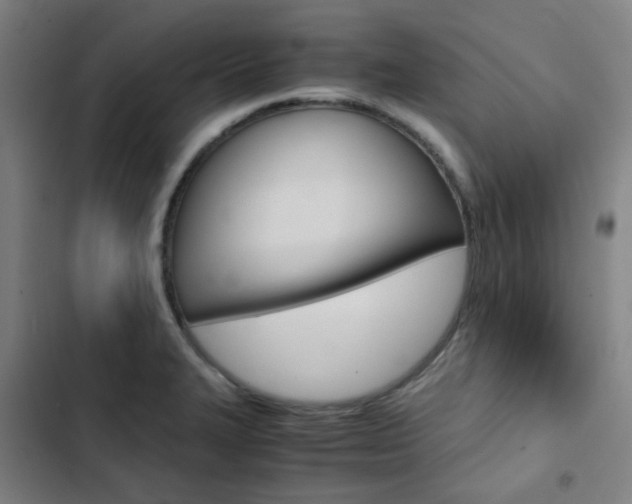 X0000103331327200809051013