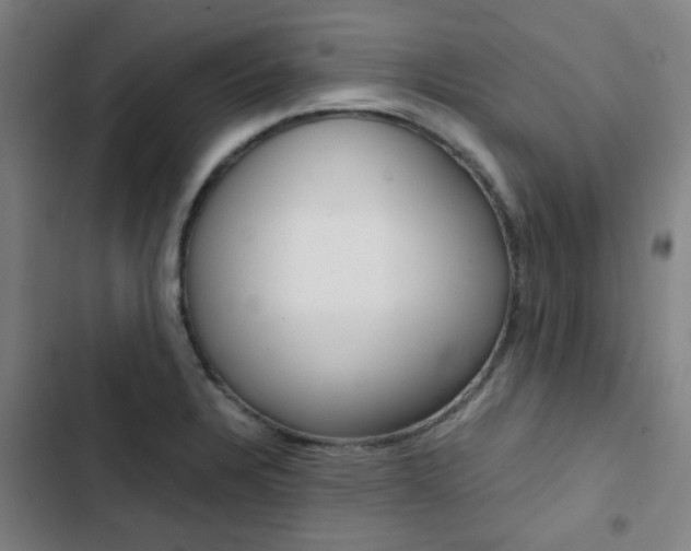 X0000103331328200809051013