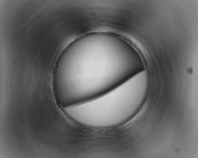 X0000103331329200809051013