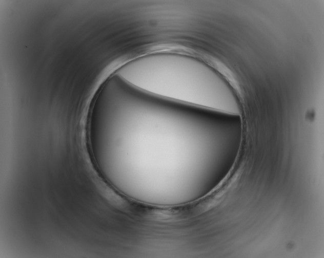 X0000103331330200809051013