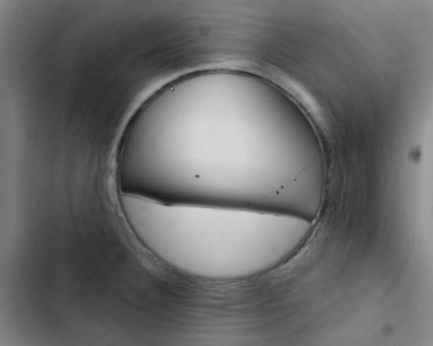X0000103331332200809051013