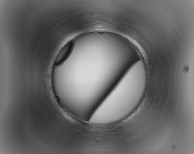 X0000103331333200809051013
