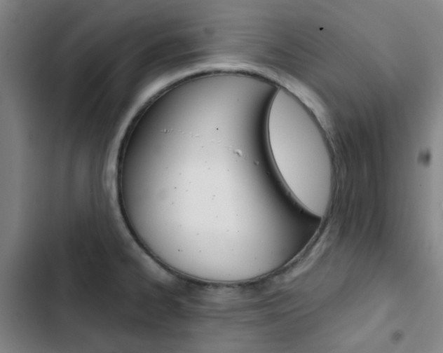X0000103331334200809051013