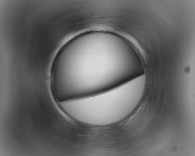 X0000103331335200809051013
