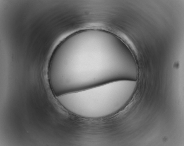 X0000103331336200809051013