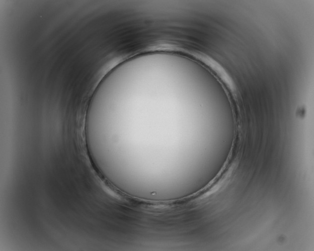 X0000103331337200809051013