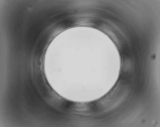 X0000103331338200809051013