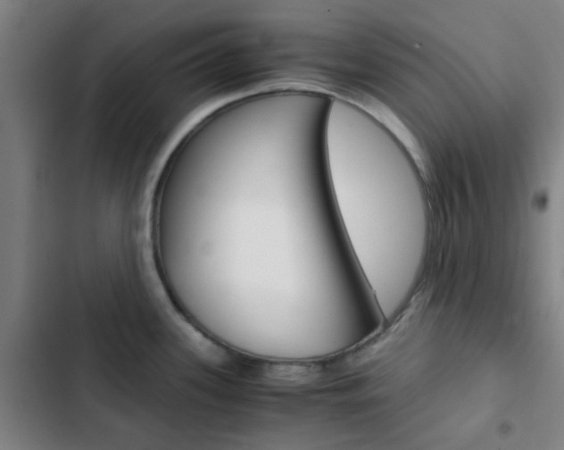 X0000103331339200809051013