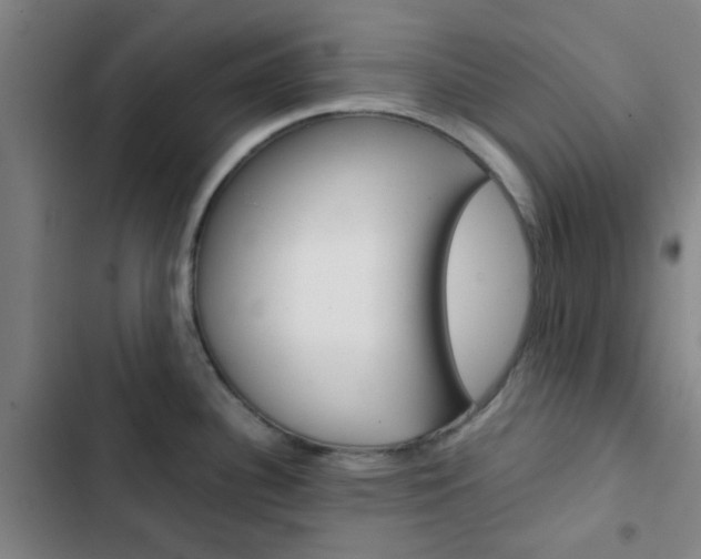 X0000103331340200809051013