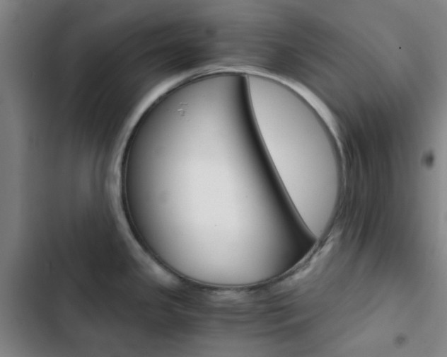 X0000103331341200809051013