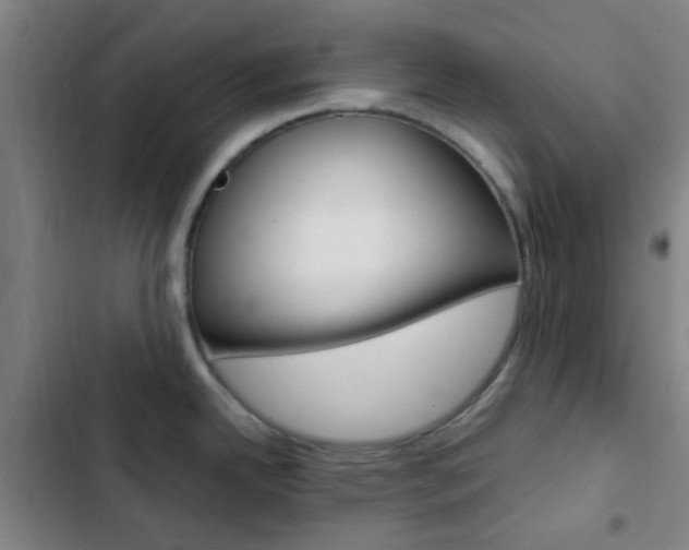 X0000103331342200809051013