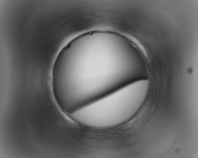 X0000103331343200809051013