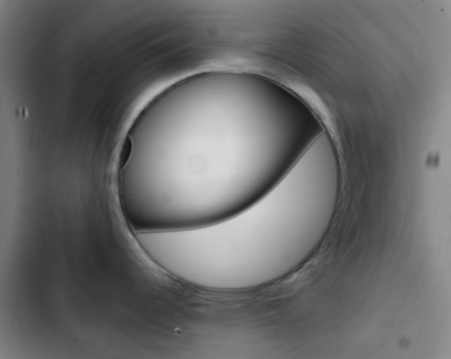 X0000103331344200809051013
