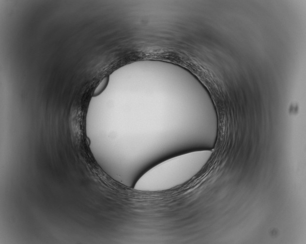 X0000103331346200809051012