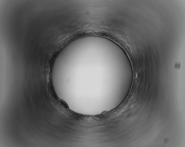X0000103331348200809051012