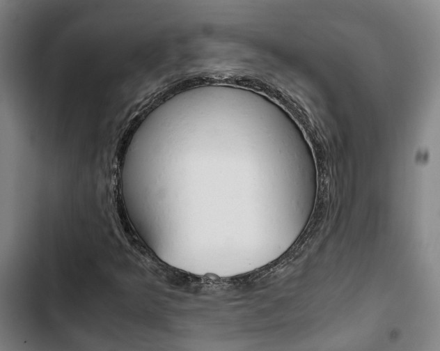 X0000103331349200809051012