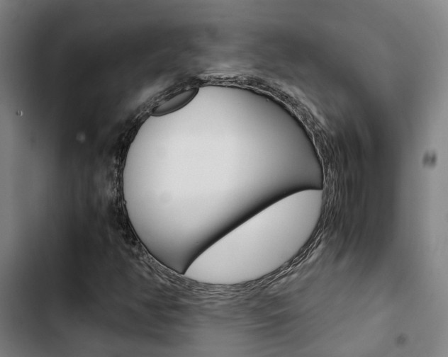 X0000103331350200809051012