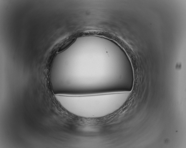 X0000103331351200809051012
