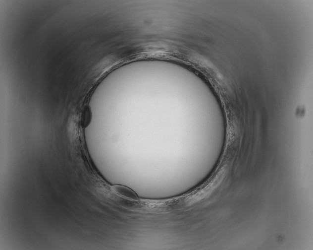 X0000103331353200809051012