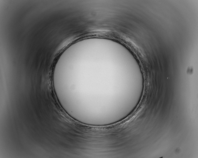 X0000103331354200809051012