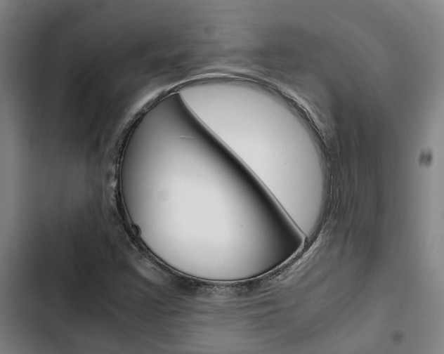 X0000103331355200809051012