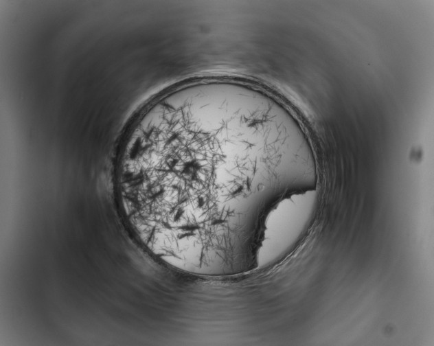 X0000103331356200809051012