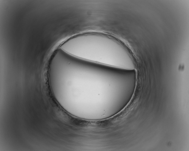 X0000103331359200809051012