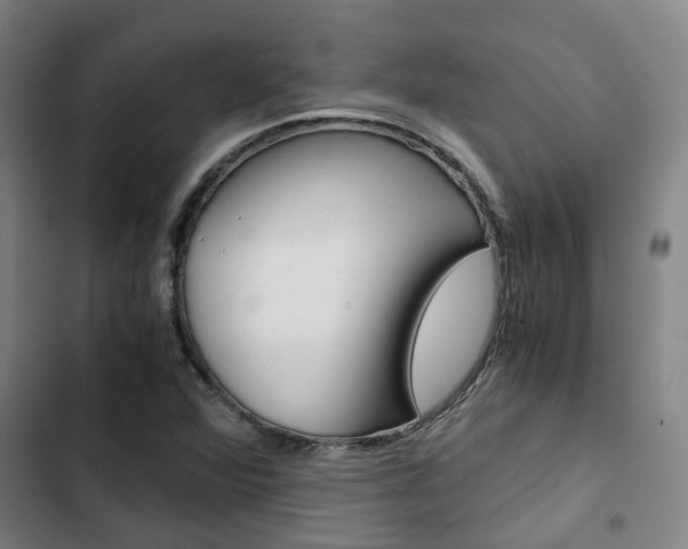 X0000103331360200809051012