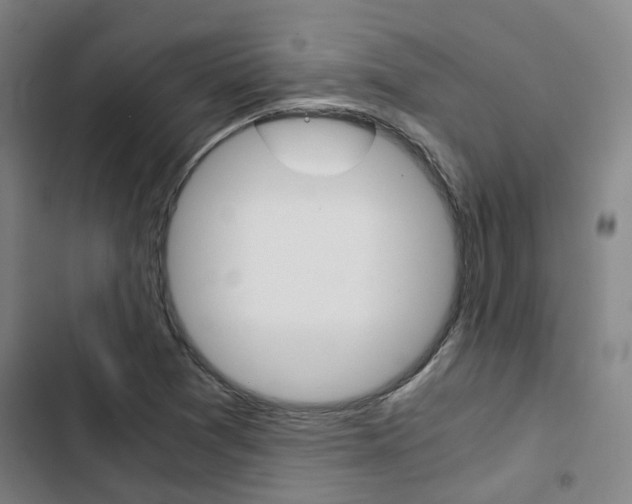 X0000103331361200809051012