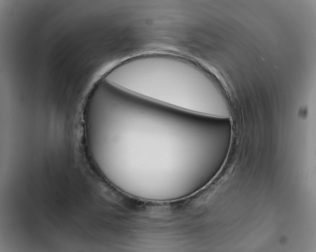 X0000103331363200809051012