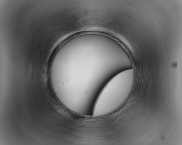 X0000103331364200809051012