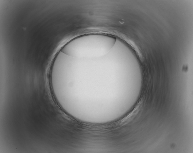 X0000103331365200809051012