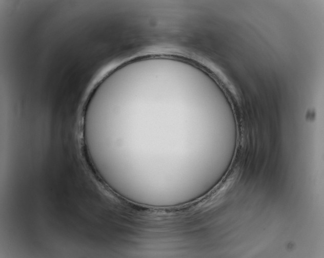 X0000103331366200809051012