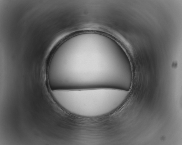 X0000103331368200809051012