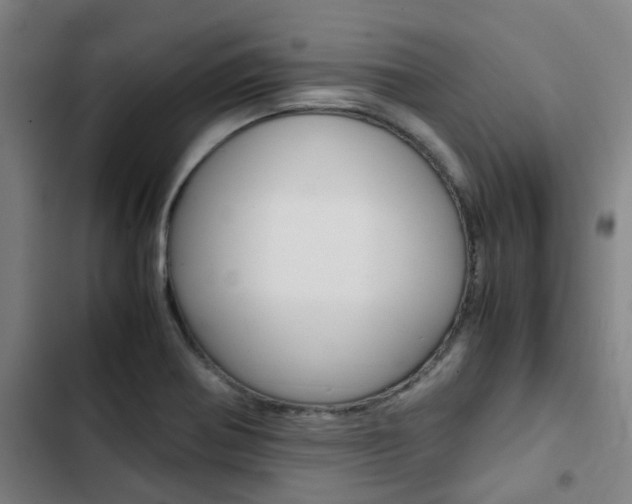 X0000103331370200809051012