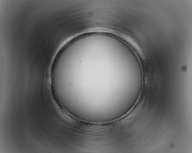 X0000103331372200809051012
