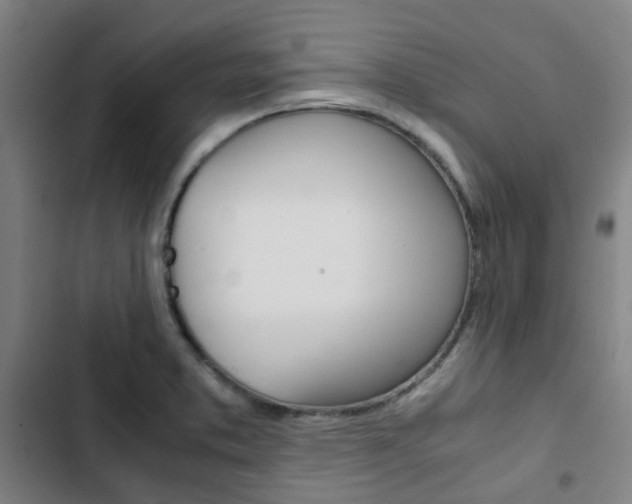 X0000103331373200809051012