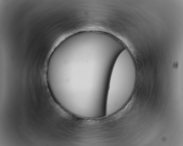 X0000103331374200809051012